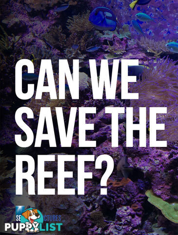 Can We Save the Reef? (3-Day Rental)