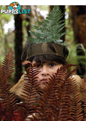 On the Right Trek: Taika Waititi's Hunt for the Wilderpeople and New Zealand Film