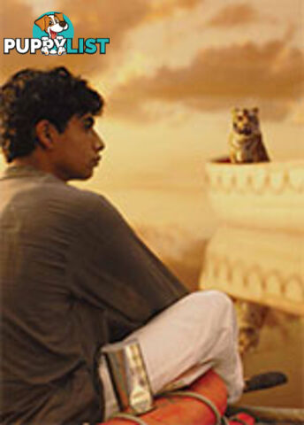 Spirit Adrift: Life of Pi: A Study Guide