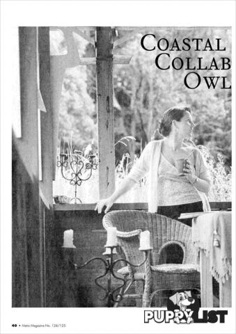 Coastal Retreats, Artistic Collaborations and an Owl Called Frank: An Interview with Deb Cox by Sian Prior