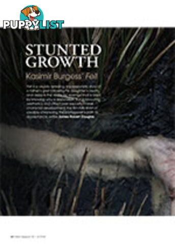 Stunted Growth: Kasimir Burgess' Fell