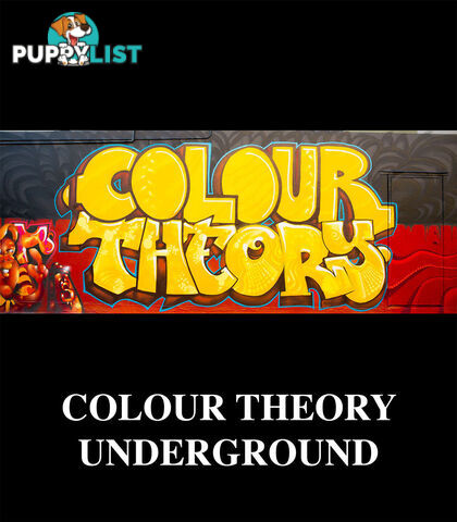 Colour Theory Underground (DVD)