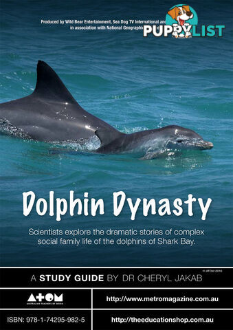 Dolphin Dynasty ( Study Guide)