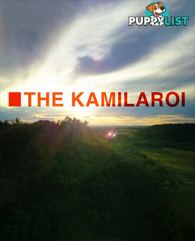 Kamilaroi, The  (Lifetime Access)