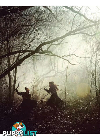 Die by the Sword: Hou Hsiao-hsien's The Assassin