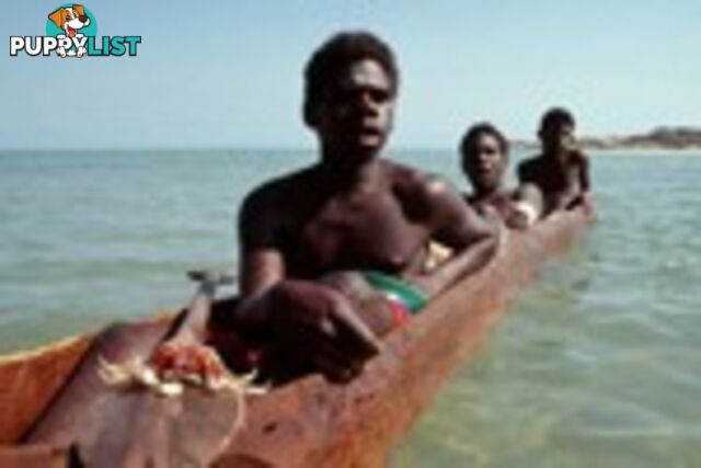 Yolngu Boy