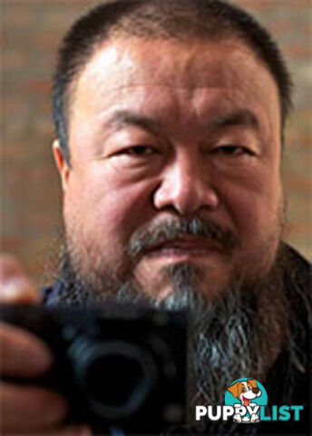 Art, Activism and the Public Eye: Alison Klayman on Filming Ai Weiwei: Never Sorry