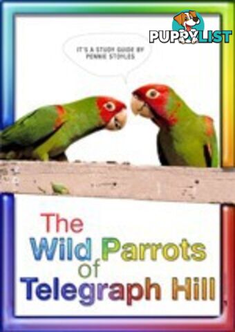 Wild Parrots of Telegraph Hill, The