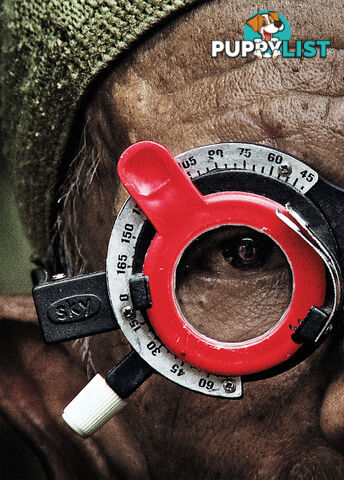 Clarifying the Past: Joshua Oppenheimer's The Look of Silence