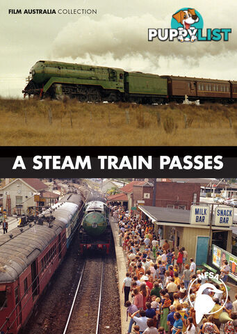 Steam Train Passes, A (3-Day Rental)