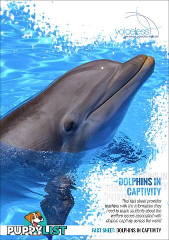 Dolphins in Captivity - Worksheets