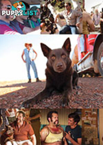 Shaggy Dog Stories and Red Dirt Resilience: Red Dog