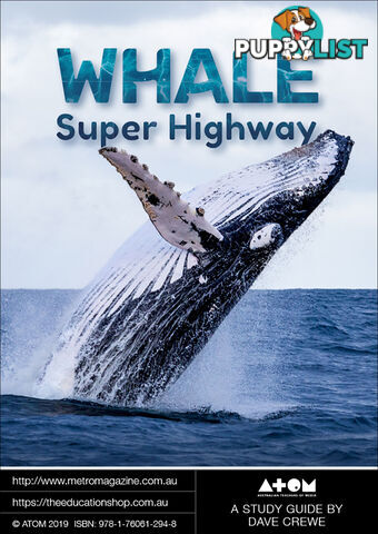 Whale Super Highway ( Study Guide)