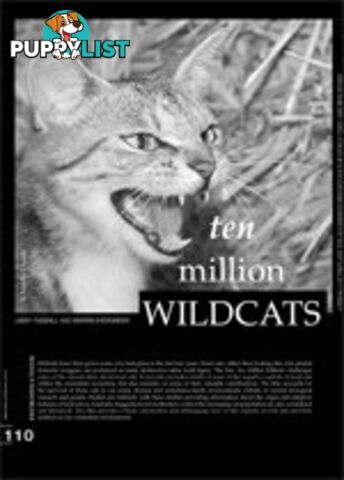 Ten Million Wildcats ( Study Guide)