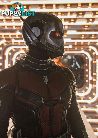 Cinema Science: The Small Wonders of 'Ant-Man and the Wasp'