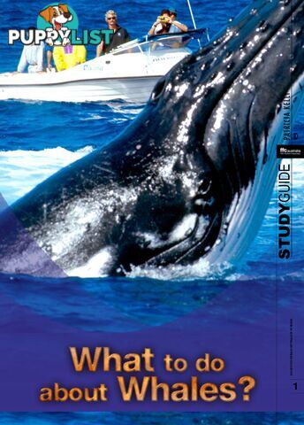 What to Do About Whales? ( Study Guide)