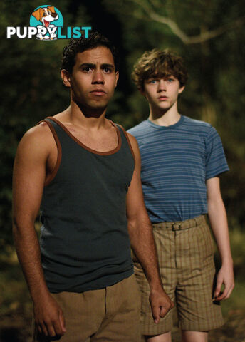 Through the Window: The Trap of Curiosity in Rachel Perkins' 'Jasper Jones'