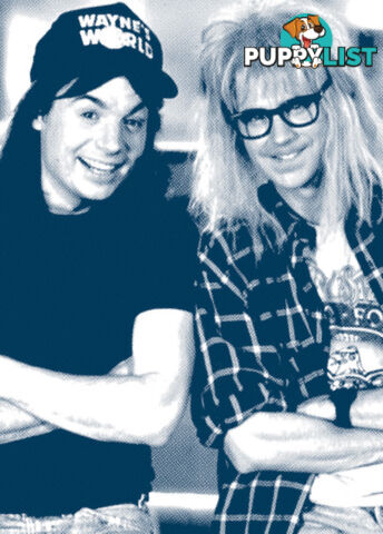 'Excellent' Education: 'Wayne's World' in the Junior Media Classroom