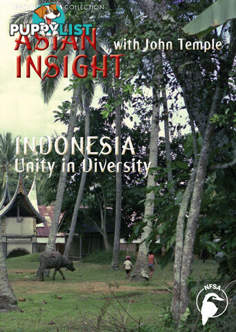 Asian Insight: Indonesia - Unity in Diversity (3-Day Rental)