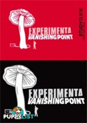 Experimenta: Vanishing Point ( Study Guide)