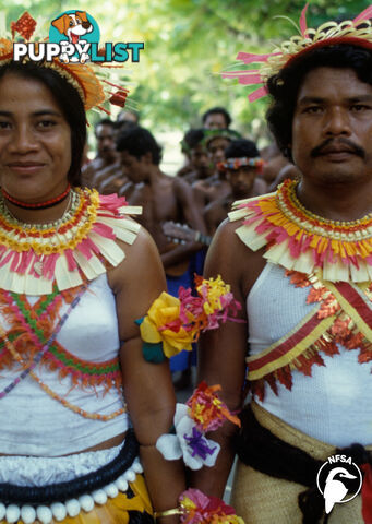 Solomon Islands: Taem Bifo Long Lauru - Choiseul Customs (3-Day Rental)