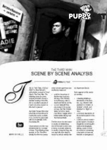 The Third Man: Scene by Scene Analysis (Film as Text)