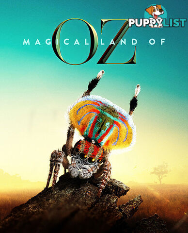 Magical Land of Oz (Lifetime Access)