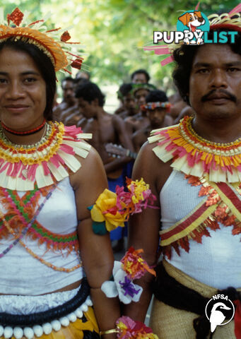 Solomon Islands: Taem Bifo Long Lauru - Choiseul Customs (1-Year Access)