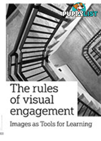 The Rules of Visual Engagement: Images as Tools for Learning