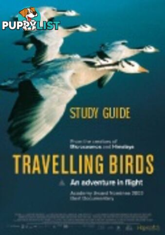 Travelling Birds ( Study Guide)