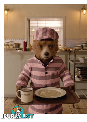 Close Encounters of the Furry Kind: Community and Justice in 'Paddington 2'