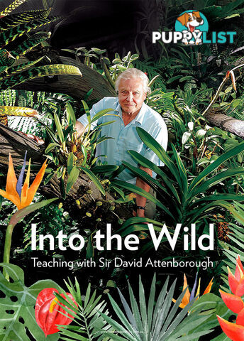 Into the Wild: Teaching with Sir David Attenborough