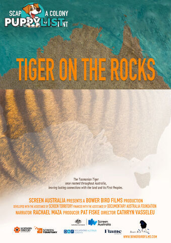 Tiger on the Rocks (1-Year Rental)