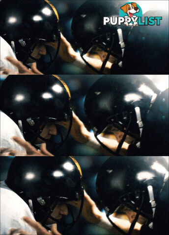 Head Games: A 'Concussion' Study Guide