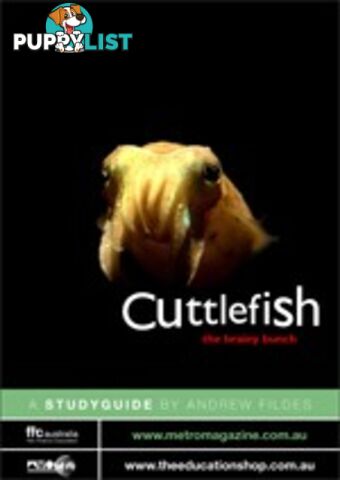 Cuttlefish: The Brainy Bunch ( Study Guide)