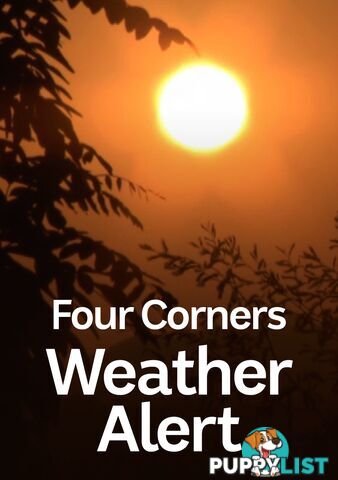 Four Corners: Weather Alert (1-Year Rental)