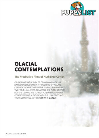 Glacial Contemplations: The Meditative Films of Nuri Bilge Ceylan