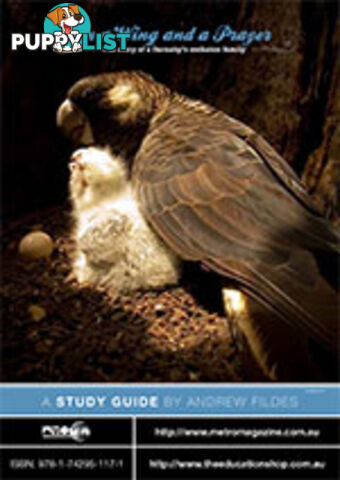 On a Wing and a Prayer ( Study Guide)