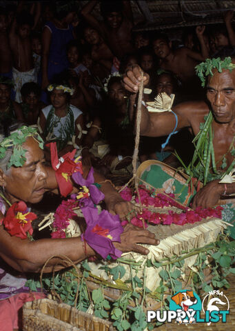 Solomon Islands: People of Niupani (3-Day Rental)