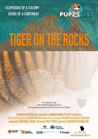 Tiger on the Rocks (7-Day Rental)