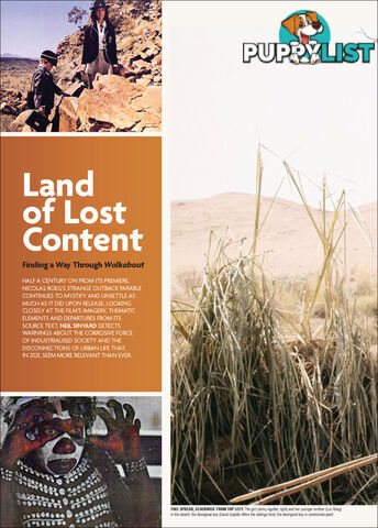 Land of Lost Content: Finding a Way Through 'Walkabout'