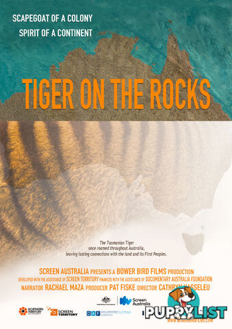 Tiger on the Rocks (30-Day Rental)