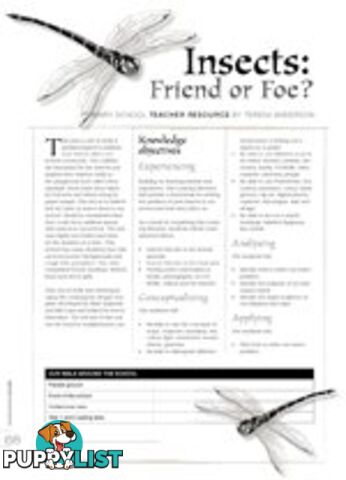 Insects: Friend or Foe?