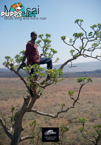 Maasai: Birds Sing and Lions Roar