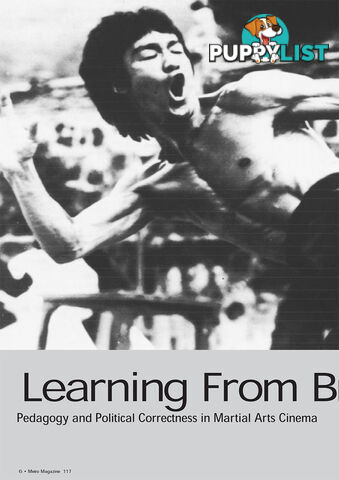 Learning from Bruce Lee: Pedagogy and Political Correctness in Martial Arts Cinema