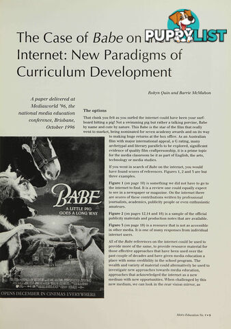 The Case of 'Babe' on the Internet: New Paradigms of Curriculum Development