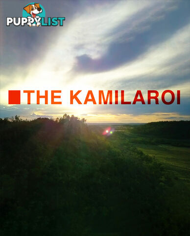 Kamilaroi, The (7-Day Rental)