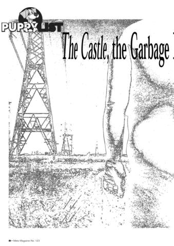 The Castle', the Garbage Bin and the High Voltage Tower: Home Truths in the Suburban Grotesque