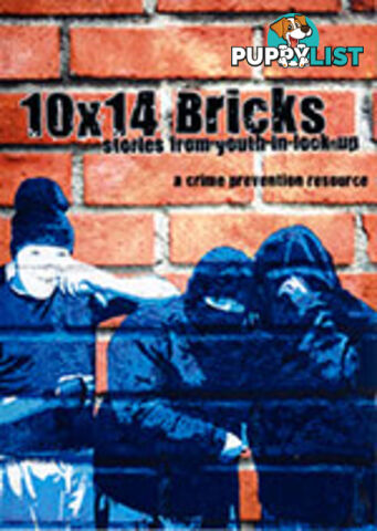 10x14 Bricks: Stories from Youth in Lock-up