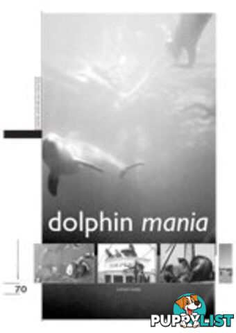 Dolphin Mania (Study Guide)